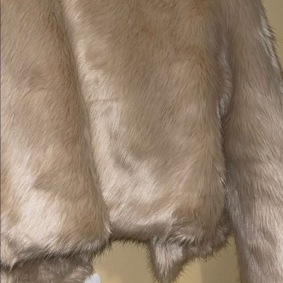 Faux Fur Coat - Picture 3 of 3